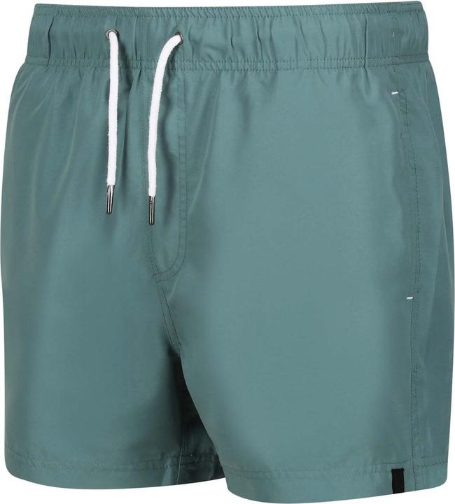 Produktbild Regatta Mawson III Kurze Hose (XXL)