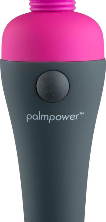 Produktbild Palmpower Massager