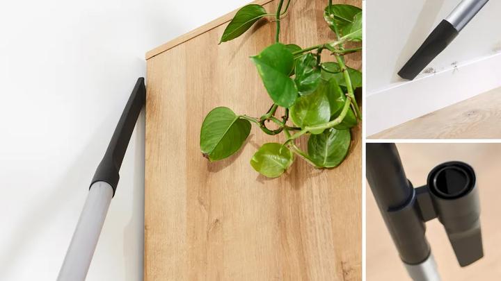 Produktbild Bosch Hausgeräte Bosch Serie 8 In'genius ProAnimal BGB8PET3A (BGB8PET3A)