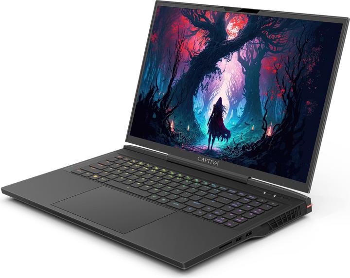 Actual product image Captiva Advanced Gaming I86-099 Core i9 GeForce RTX 4060 (17.30", Intel Core i9-14900HX, 16 GB, 1000 GB, DE)