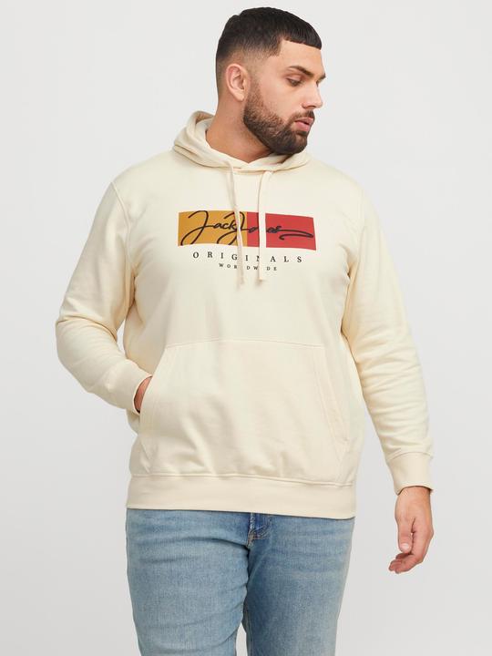 Immagine prodotto Jack & Jones Plus Size Logo Kapuzenpullover Kapuzenpullover (3XL)
