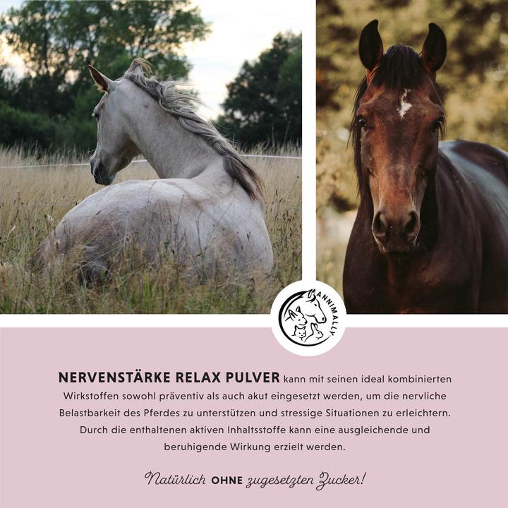 Produktbild Annimally Nervenstärke Relax Pulver (1 x, 850 g)