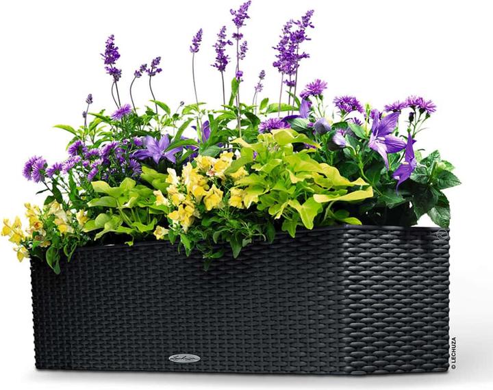 Produktbild Lechuza Balconera Cottage (19 cm)