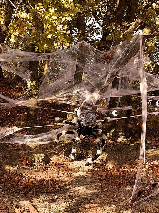 Image du produit Boland Araignée dure