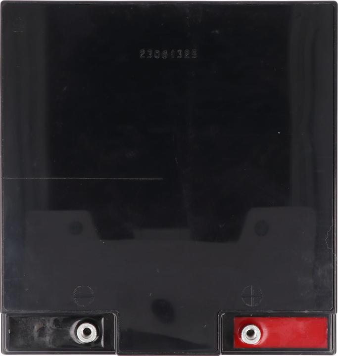 Actual product image Yuasa Akku NPL24-12 (12 V, 24 Ah)
