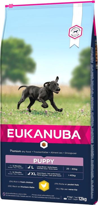 Immagine prodotto Eukanuba Pollo per cuccioli di razza grande in crescita (Junior, 1 pz., 12000 g)