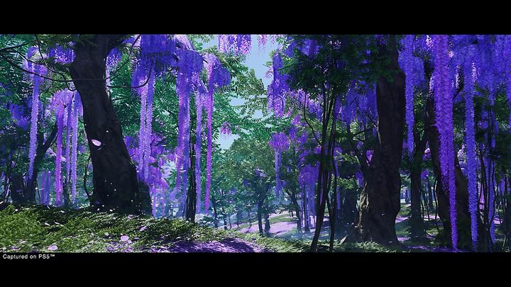 Productafbeelding Sony Ghost of Tsushima Director's Cut (PS5, Meertalig)