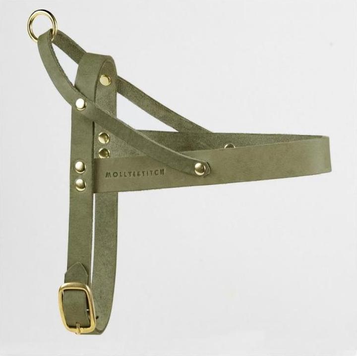 Produktbild Molly & Stitch Butter Leder Hundegeschirr (Hund, Allgemein)
