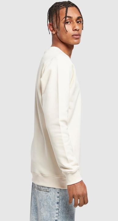 Produktbild Urban Classics Organic Basic Crew (4XL)