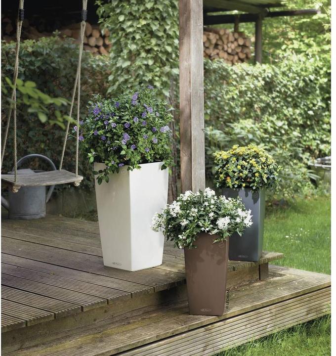 Produktbild Lechuza Cubico Color (22 cm)