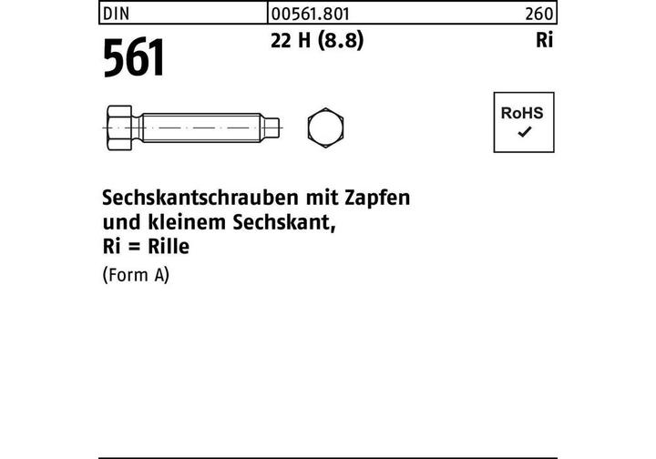 Image du produit Vis hexagonale DIN 561 m.Zapfen x80mm (10 Vis par pièce)