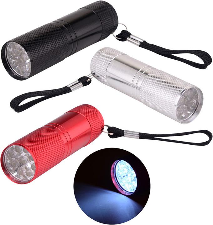 Science Explorer Taschenlampe