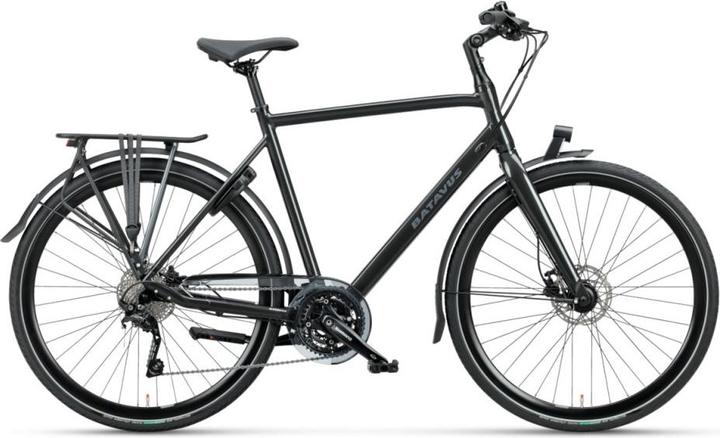 Actual product image Batavus Dinsdag Sport 30 (57 cm)