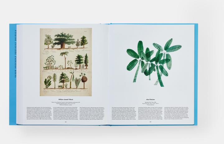 Produktbild Tree (Englisch, Andy Goldsworthy, Caspar David Friedrich, Pierre-Joseph Redouté, Sally Mann, Frida Kahlo, Yayoi Kusama, Antoine de Saint-Exupéry, Ernst Haeckel, Paul Cézanne, Albrecht Dürer, Utagawa Hiroshige, Sebastião Salgado, Ruth Asawa, Ansel Adams, Yokohama Nursery Co., Marianne North, Grandma Moses)
