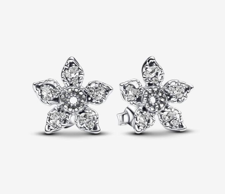 Produktbild Pandora Pandora-Ohrringe (Sterlingsilber)