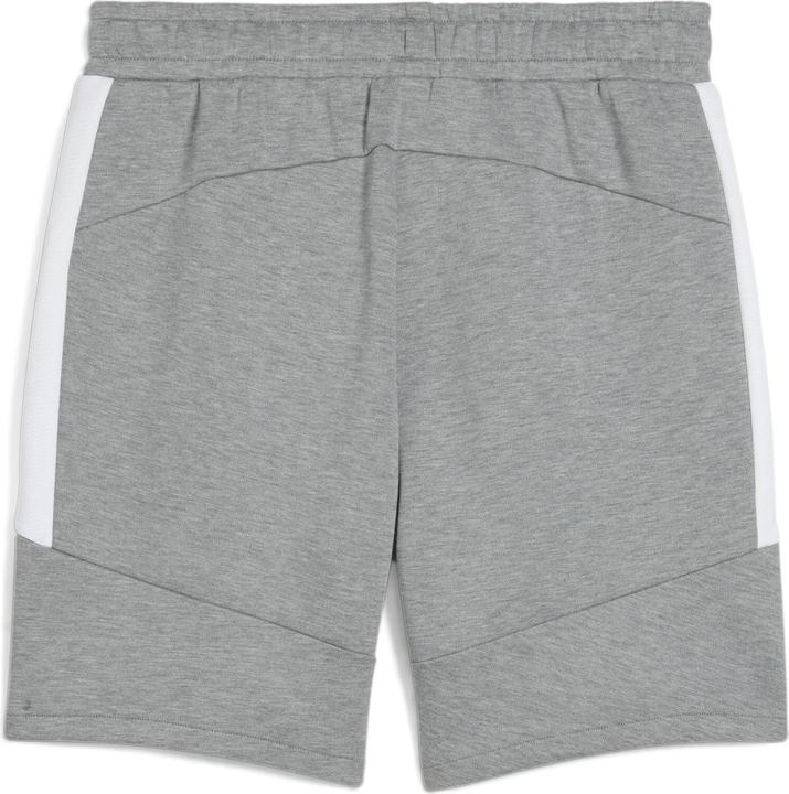 Actual product image Puma teamEVOSTRIPE Shorts (M)