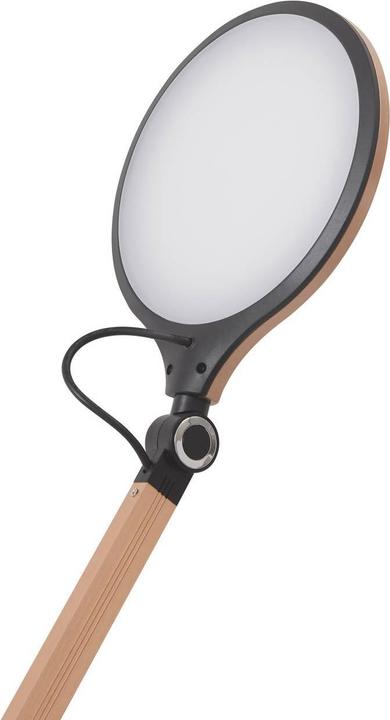 Image du produit Lindby Nyxaris (630 lm)