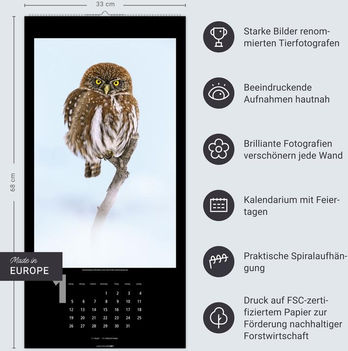 Produktbild Eulen Kalender 2026 (33 x 68 cm, Harter Einband, Deutsch)