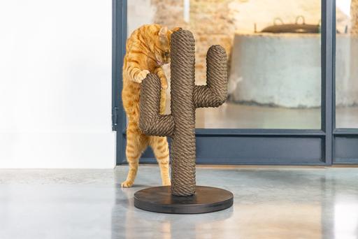 Produktbild Designed by Lotte Cactus (60 cm, Dunkelbraun, Schwarz, Braun)