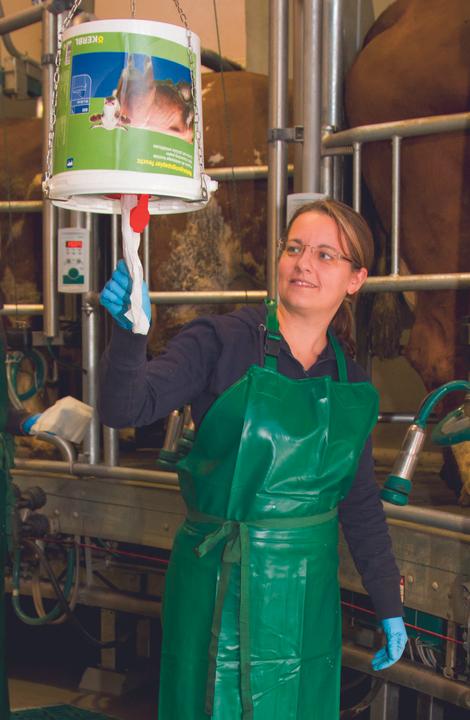 Image du produit Kerbl Support de suspension pour seau à mamelles Acier inoxydable