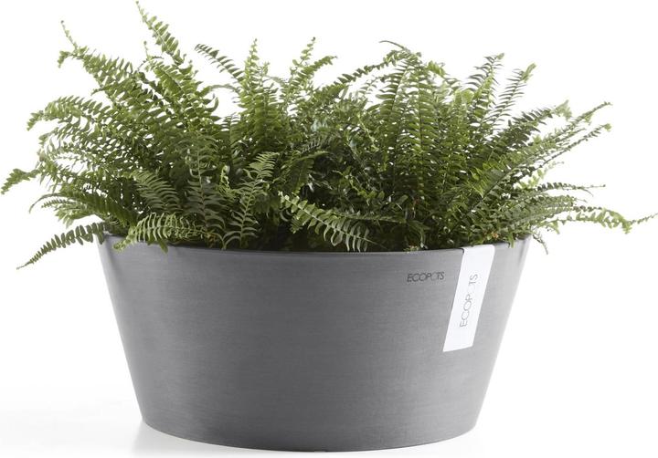 Actual product image Ecopots Frankfurt (30 cm)