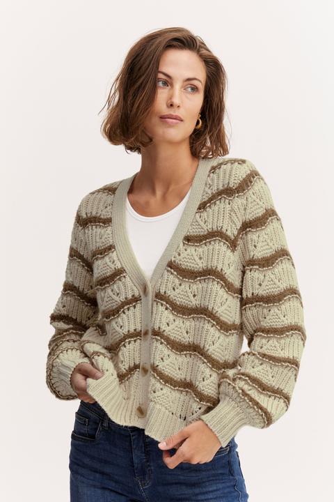 Image du produit Fransa FRAYA CAR 1 - 20611173 (XXL)