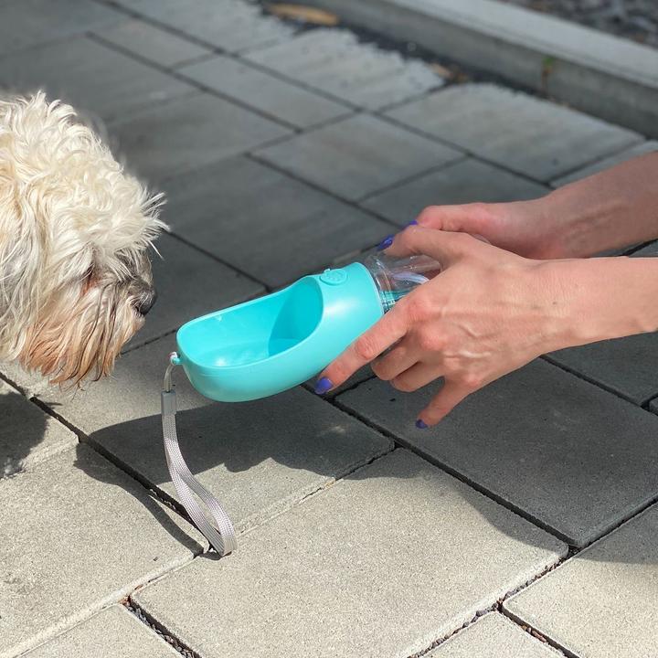Produktbild Intirilife Hundeleinen Set Blau: Leckerlibeutel & Trinkflasche & Hundeleine (Hund, Allgemein)