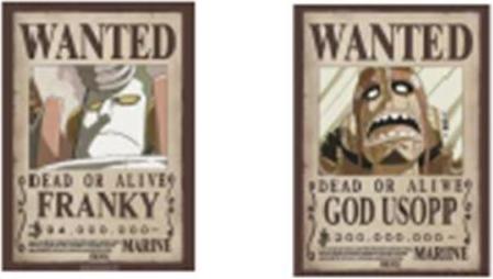 Actual product image GB Eye One Piece - Franky & Usopp (52 x 38 cm)