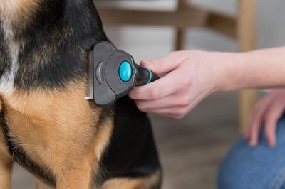 Produktbild Trixie Carding-Striegel (Hund)