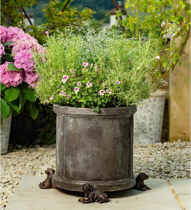 Produktbild Jardinopia Pflanzentopffüsse Potty Feet Liegender Labrador, 3er Set