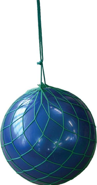 Actual product image Huck Ball net for power exercise ball