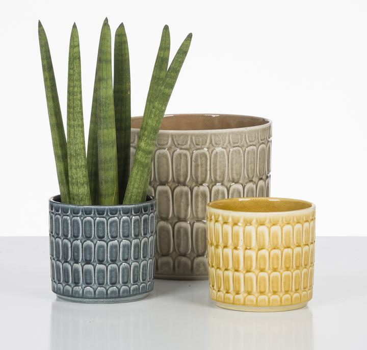 Produktbild Scheurich Lagom (19 cm)