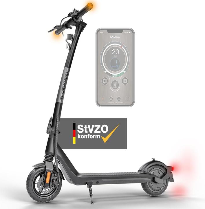 Bluewheel IX250 (20 km/h, 30 km, 350 W)