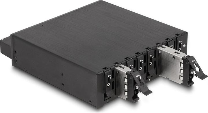 Actual product image Delock 5.25? Removable rack for 8 x M.2 NVMe SSD with Slim SAS