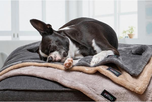 Actual product image Chiara Soft Fleece-plaid (Dog)