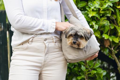 Produktbild Designed by Lotte Tragetasche (Hund, Komplett zu öffnen)