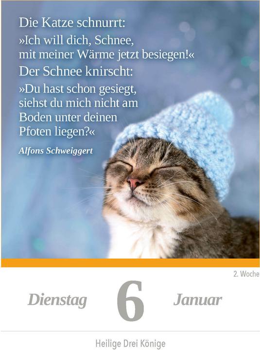 Actual product image A cat for every day 2026 - daily tear-off calendar to put up or hang up (11 x 15 cm, German)