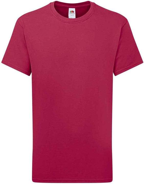 Fruit of the Loom Iconic 195 TShirt (164, 170)
