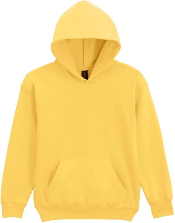 Actual product image Gildan Childrens/Kids Soft Touch Midweight Hoodie (XL)
