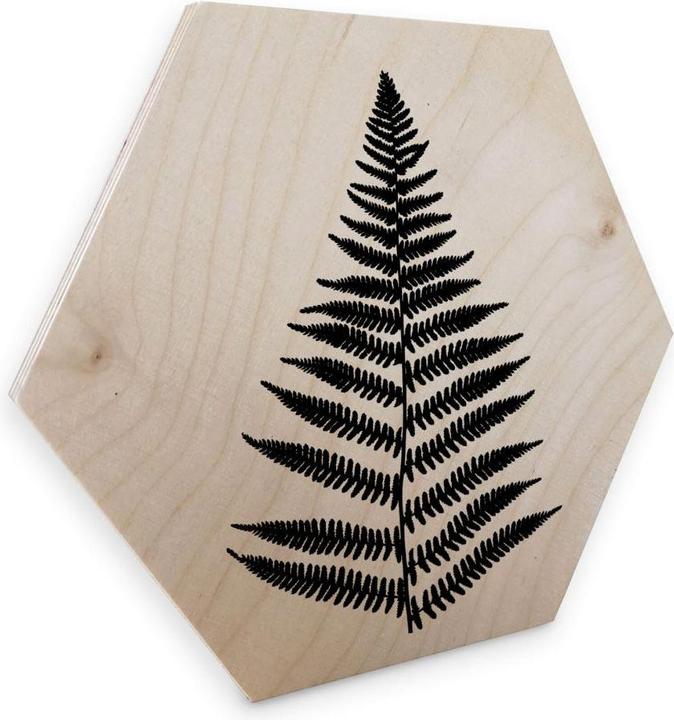 Produktbild Trenddeko Farn (35 x 30 cm)