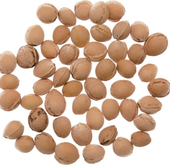 Produktbild Glorex Kirschkerne 500 g