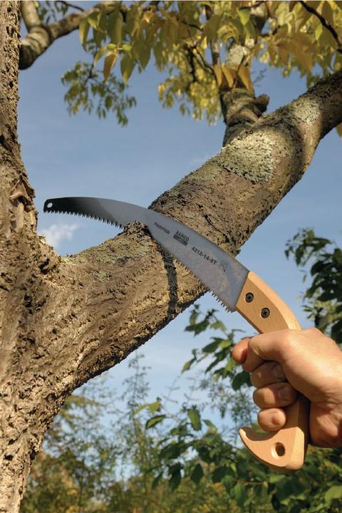 Actual product image Bahco Branch saw, wooden handle, 4211-14-6T