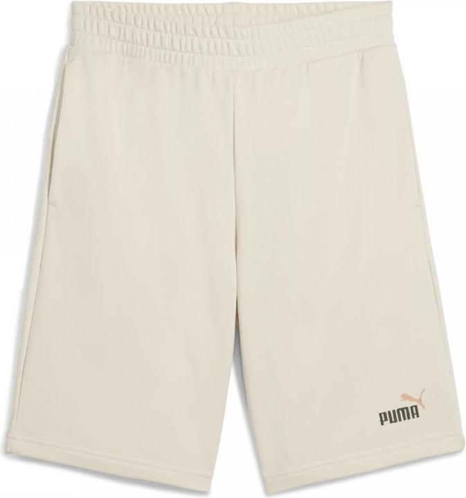 Actual product image Puma ESS 2 COLOR No. 1 Logo Shorts 10" TR (XL)