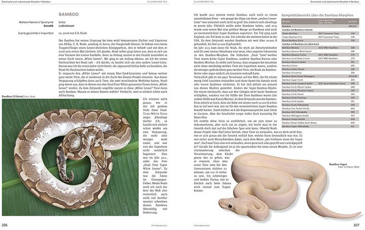 Image du produit python regius (Allemand, Stefan Broghammer, 2025)