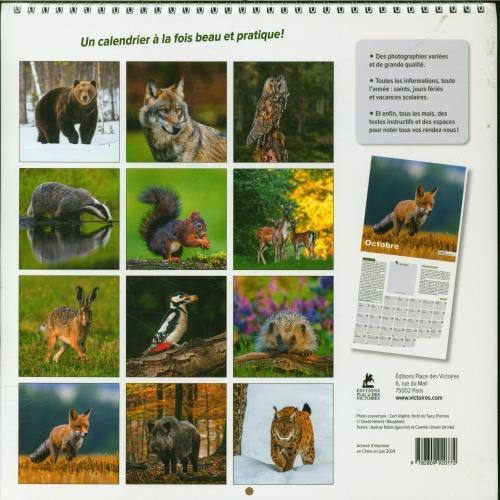 Produktbild Animaux de nos forêts : calendrier 2025 (Harter Einband, Französisch)