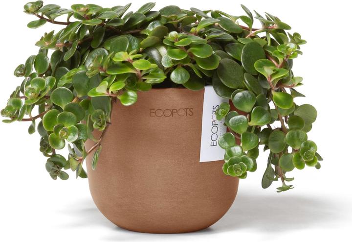 Image du produit Ecopots Oslo Mini (16 cm)