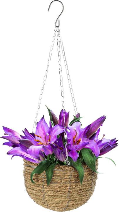 Actual product image Natura Punto 3-piece hanging flower pot set made of willow
