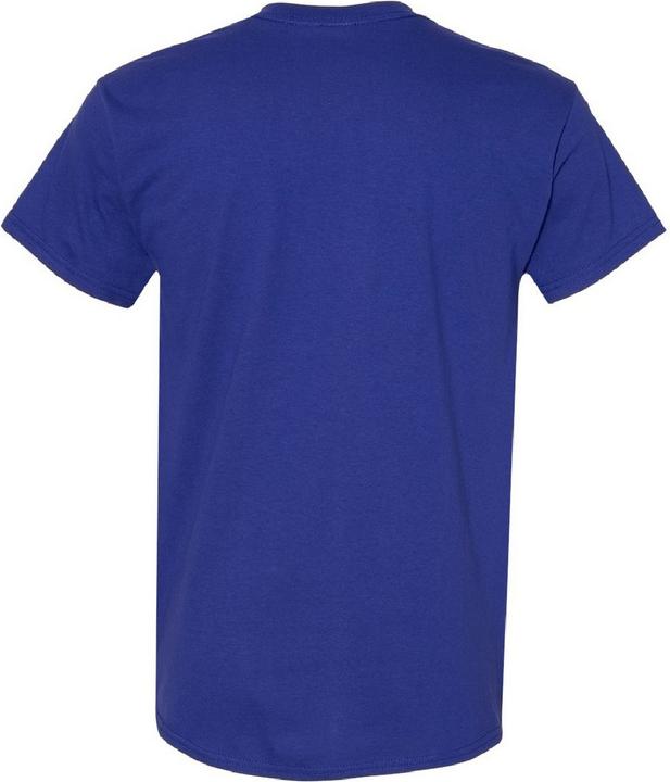 Actual product image Gildan Tshirt (XXL)