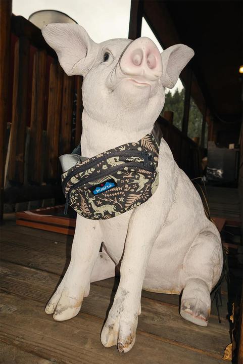 Immagine prodotto Kavu marsupio canvas spectator
