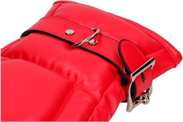 Image du produit Ouch! Neoprene Dog Mitts